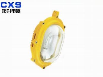 供应CBFC8120内场防爆强光泛光灯02